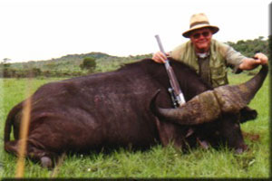 Buffalo 16