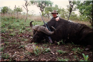 buffalo 29
