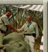 Tanzania Hunting Safaris Photo Collage