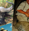 Tanzania Hunting Safaris Photo Collage