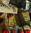 Tanzania Hunting Safaris Photo Collage