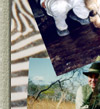Tanzania Hunting Safaris Photo Collage