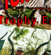 Tanzania Hunting Safaris Photo Collage