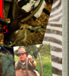 Tanzania Hunting Safaris Photo Collage