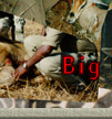 Tanzania Hunting Safaris Photo Collage