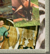 Tanzania Hunting Safaris Photo Collage