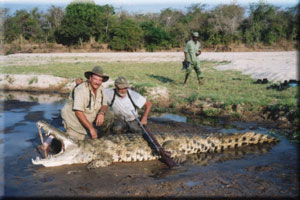 Crocodile 1