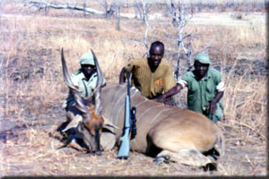 Eland 1