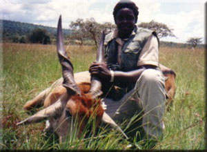 Eland 8