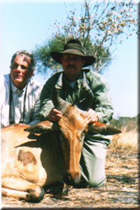 Lichtenstein Hartebeest 2