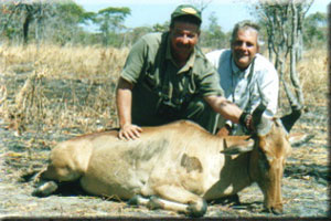 Lichtenstein Hartebeest 3