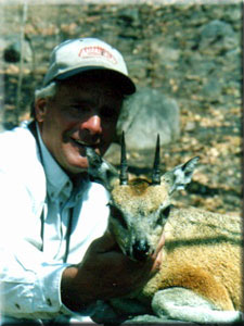 Klipspringer 1