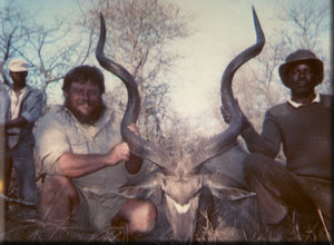 Greater Kudu 3