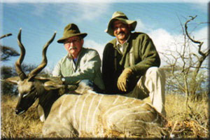 Lesser Kudu 1