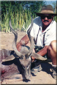 Lesser Kudu 3