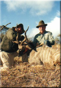 Lesser Kudu 4