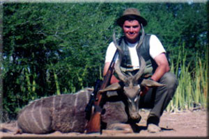 Lesser Kudu 5