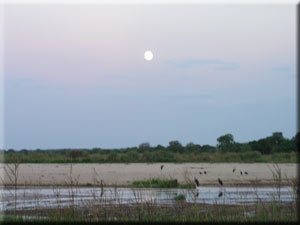 Mabarangandu Moon