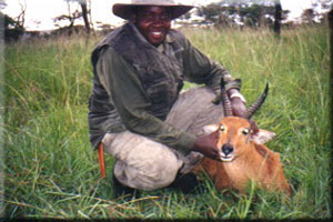 Reedbuck 2