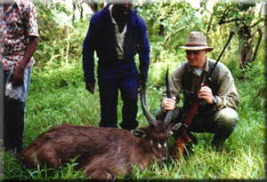 Sitatunga 1