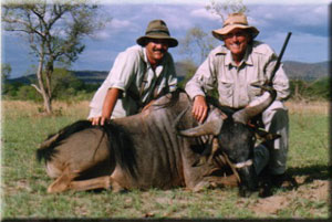 Nyasa Wildebeest 4