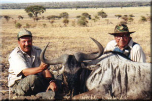 White-Bearded Wildebeest 2