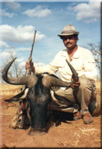 White-Bearded Wildebeest 3