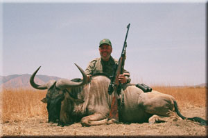 White-Bearded Wildebeest 5